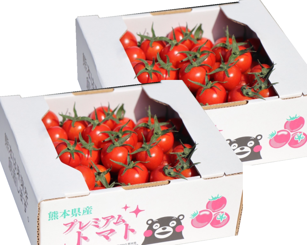 ミニトマト | コウ農園オンラインショップ