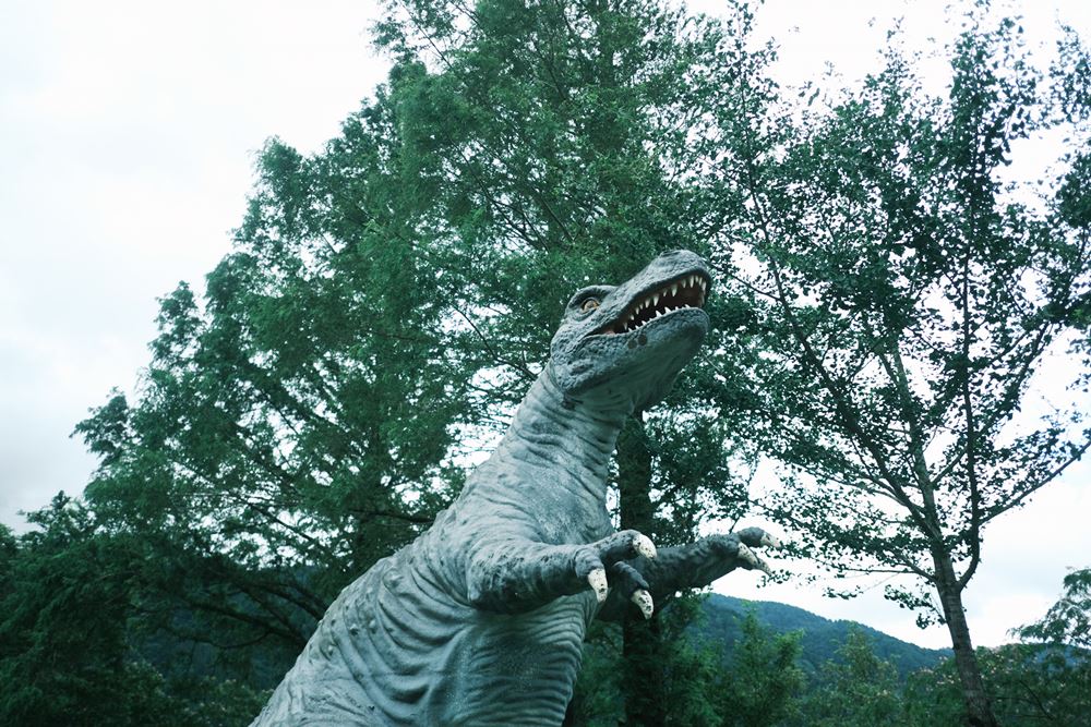 白山恐竜パーク白峰は超穴場スポット！化石発掘体験もおすすめ！ - 恒