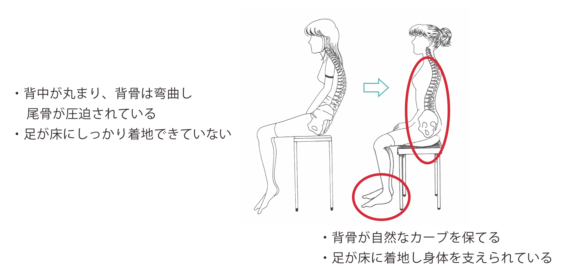 コクシクスサポート・トラベラーズの限定復刻販売について | 構造医学