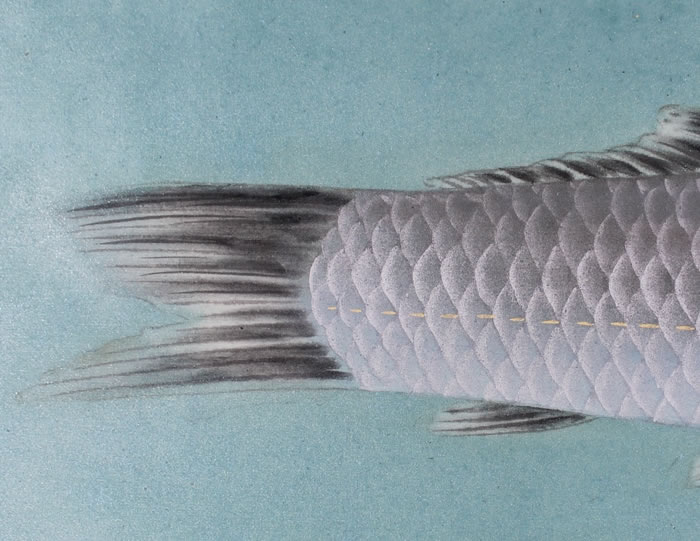 遊鯉｜新・古美術 高美堂（こうびどう）｜掛軸販売・通販・買取｜骨董