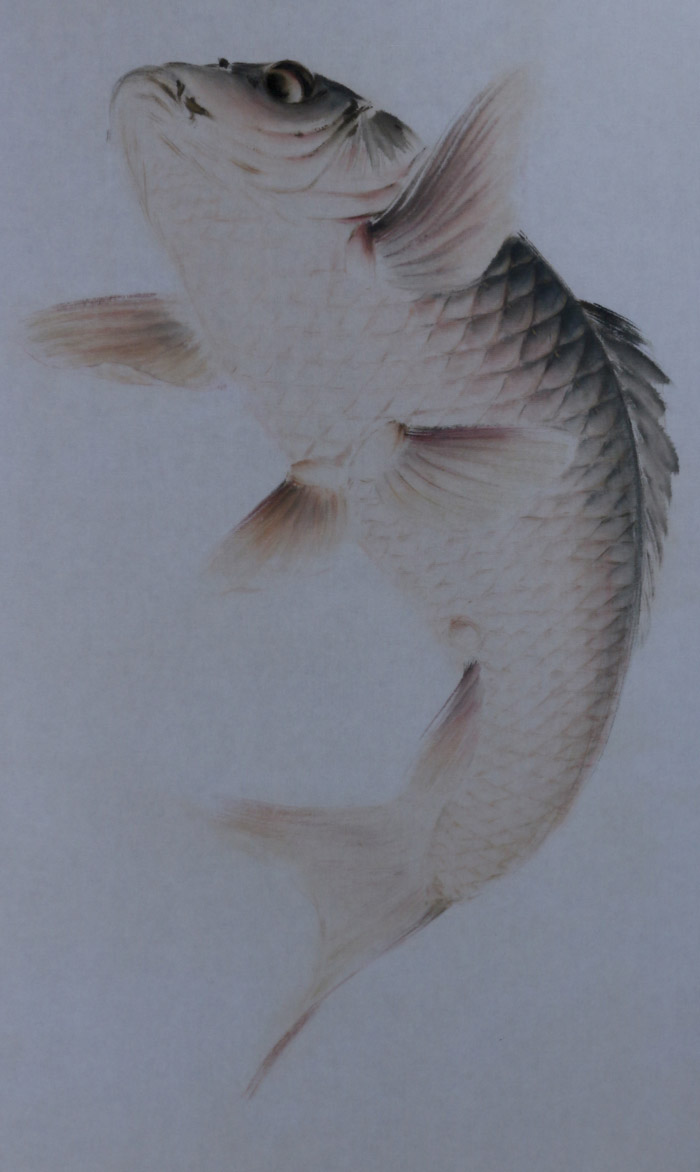 躍鯉｜新・古美術 高美堂（こうびどう）｜掛軸販売・通販・買取｜骨董