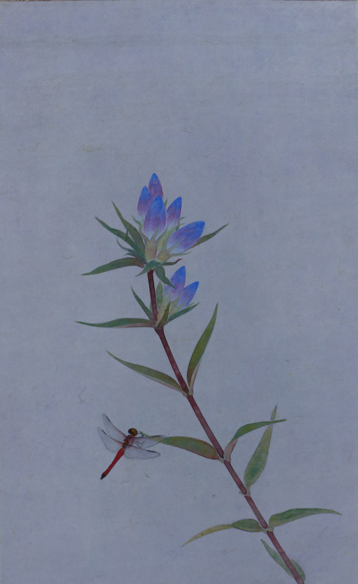 龍胆（りんどう）【秋掛け】｜新・古美術 高美堂（こうびどう）｜掛軸