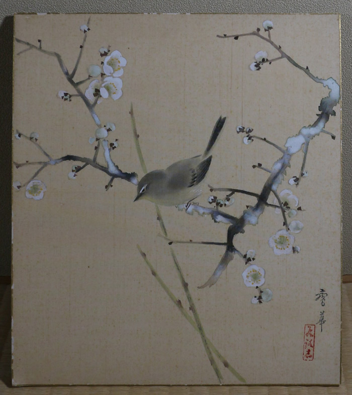 梅に鶯(色紙)｜新・古美術 高美堂（こうびどう）｜掛軸販売・通販