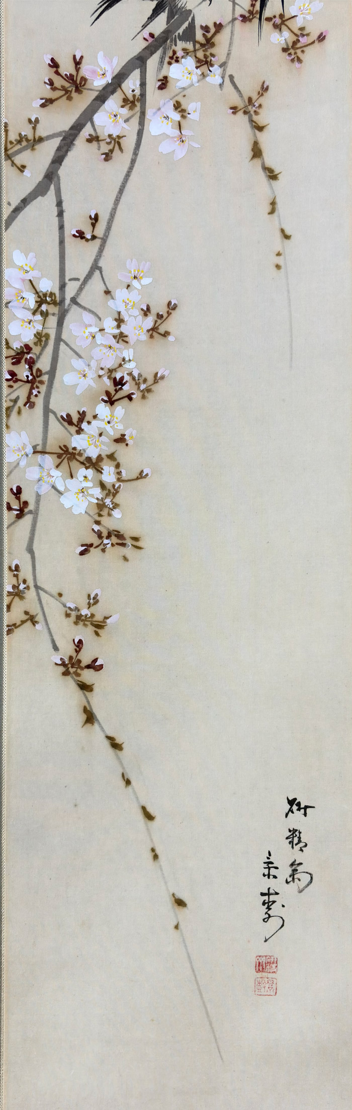 桜花玄鳥｜新・古美術 高美堂（こうびどう）｜掛軸販売・通販・買取