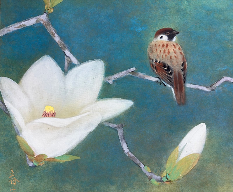 白木蓮｜新・古美術 高美堂（こうびどう）｜掛軸販売・通販・買取