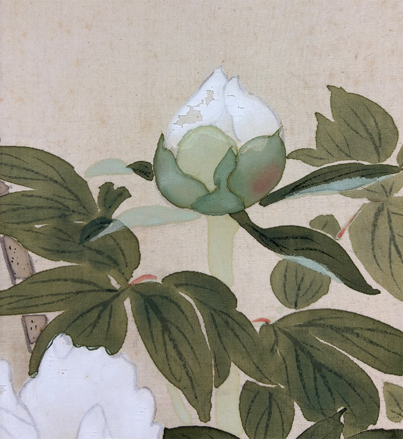 紅白牡丹図｜新・古美術 高美堂（こうびどう）｜掛軸販売・通販・買取