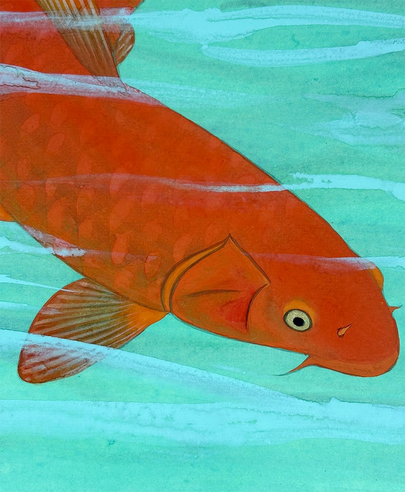 鯉｜新・古美術 高美堂（こうびどう）｜掛軸販売・通販・買取｜骨董