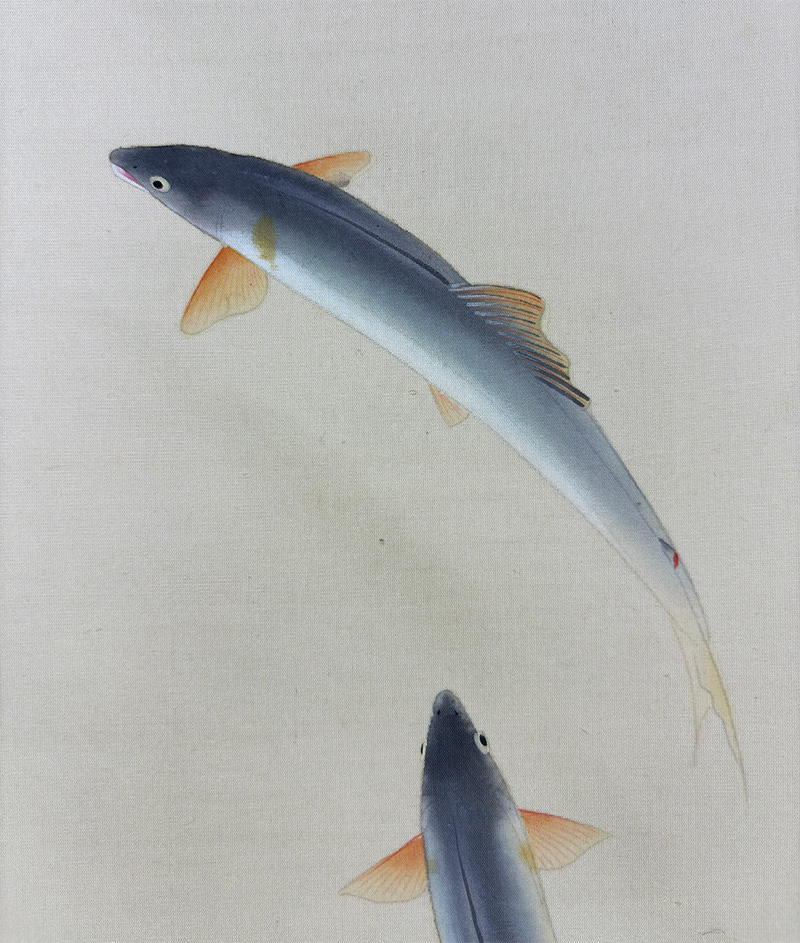 香魚｜ミニ掛軸｜新・古美術 高美堂（こうびどう）｜掛軸販売・通販