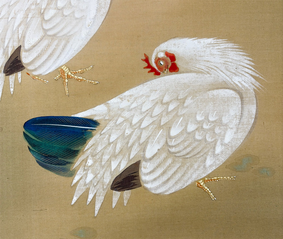 夏蜜柑に双鶏｜新・古美術 高美堂（こうびどう）｜掛軸販売・通販
