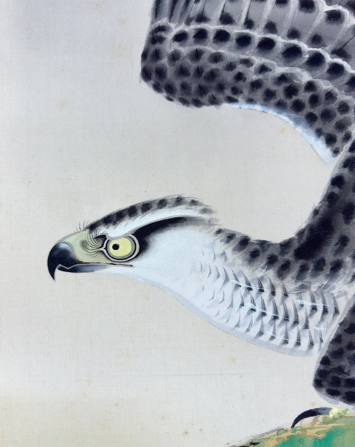 深山鷹｜新・古美術 高美堂（こうびどう）｜掛軸販売・通販・買取