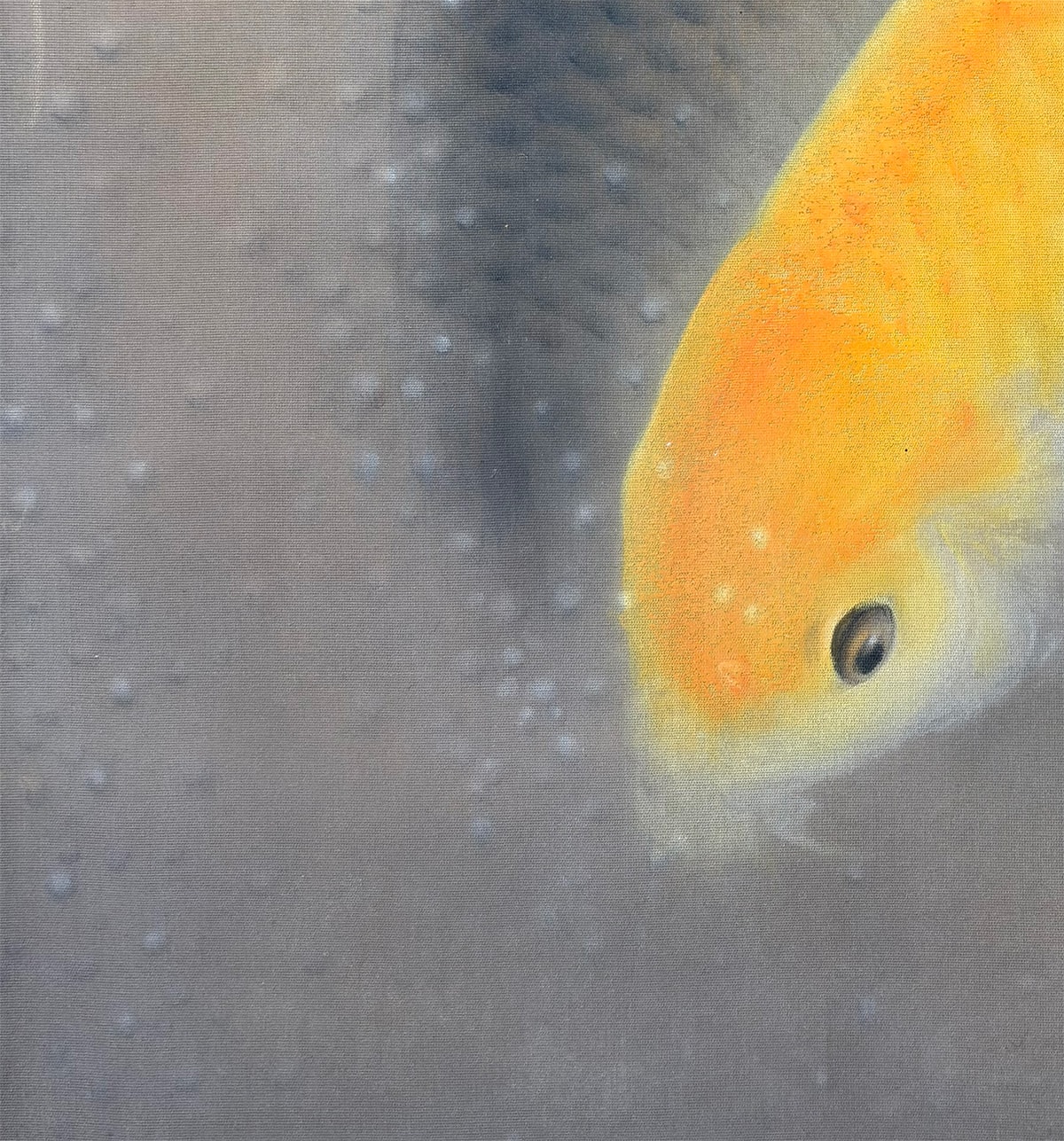 群鯉｜大幅｜新・古美術 高美堂（こうびどう）｜掛軸販売・通販・買取