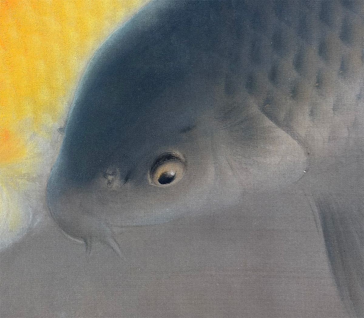 群鯉｜大幅｜新・古美術 高美堂（こうびどう）｜掛軸販売・通販・買取