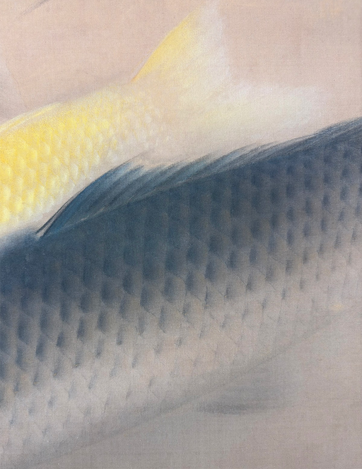 群鯉｜大幅｜新・古美術 高美堂（こうびどう）｜掛軸販売・通販・買取