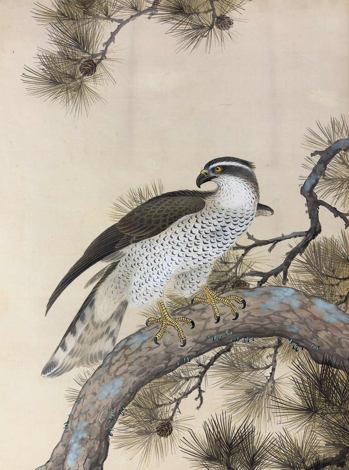 松鷹｜新・古美術 高美堂（こうびどう）｜掛軸販売・通販・買取｜骨董