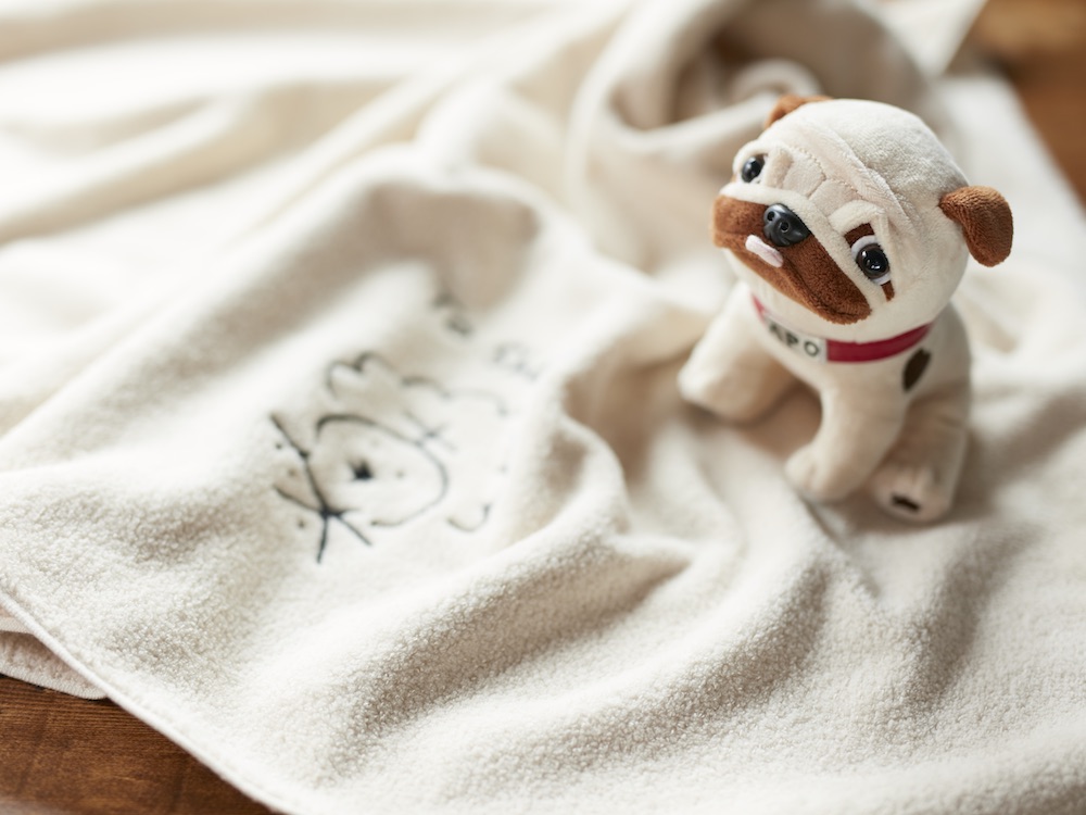 こだわりの今治タオルで、上質な温もりを。シャロンのブランケット他