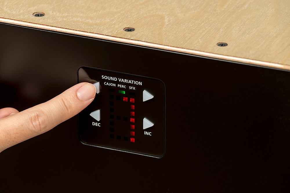 Roland EC-10 ELCajon – Kraft Music