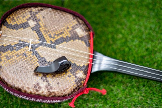 沖縄の伝統楽器「三線」とは？歴史や特徴、近畿地方で体験できる場所を