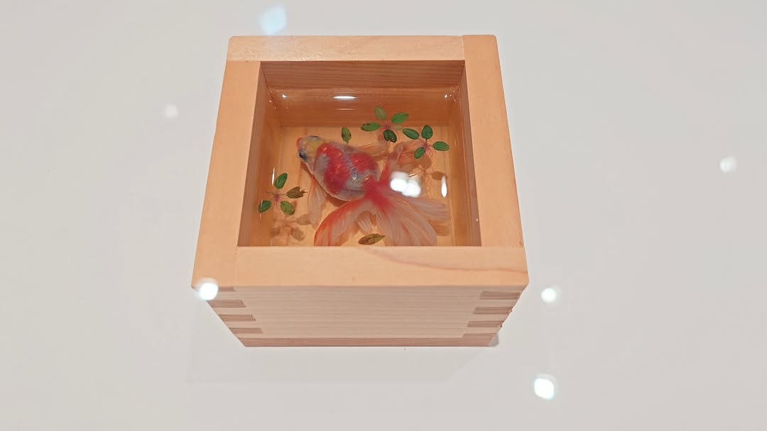 2.5Dの魔法!金魚絵師｢深堀隆介展 水面のゆらぎの中へ｣大阪に上陸