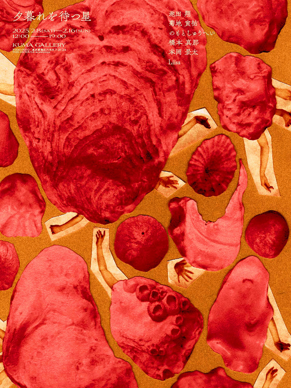 夕暮れを待つ星 | クマ財団ギャラリー | 公益財団法人クマ財団