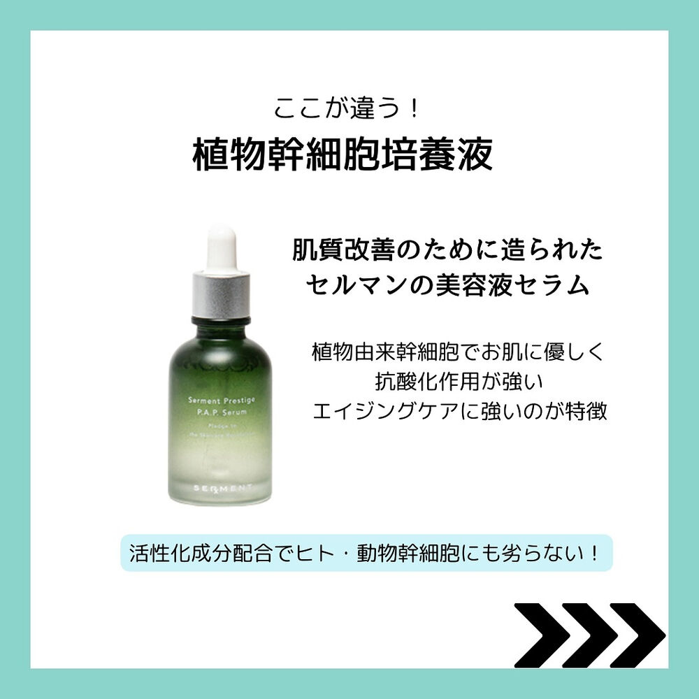 セルマン化粧品熊本 熊本毛穴 | ブログ | 熊本市中央区のエステならViV