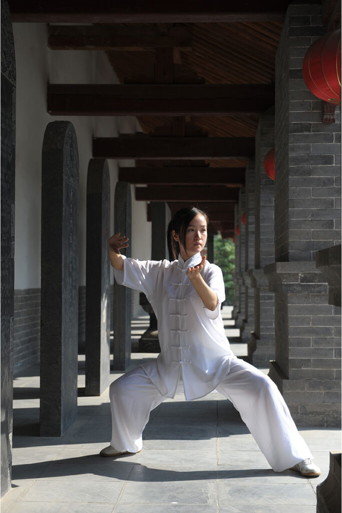 私の学んだ太極拳 | 日本中国伝統功夫研究会