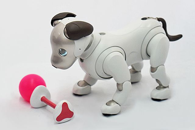 最新技術が詰まった”aibo”が、どういうふうに出来ているのかを観察して