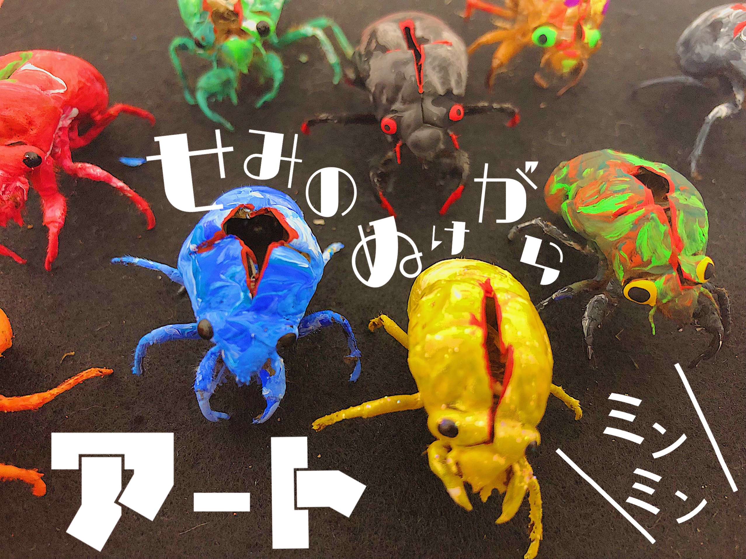 よつば】セミの抜け殻アート🎨 | 放課後等デイサービス【よつば】