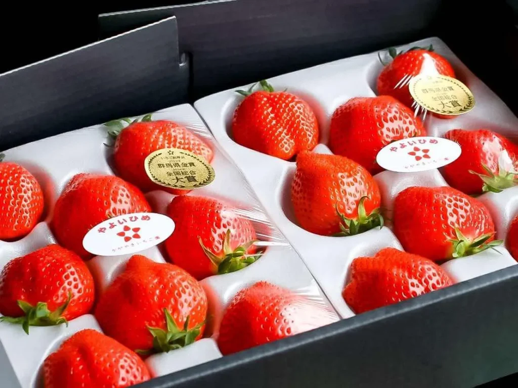 群馬の誇るイチゴ「やよいひめ」 ～育て、つなぎ、輝く品種の舞台裏