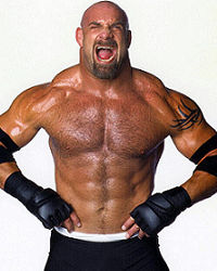 ビル・ゴールドバーグ/レスラーノート/ダークロHP