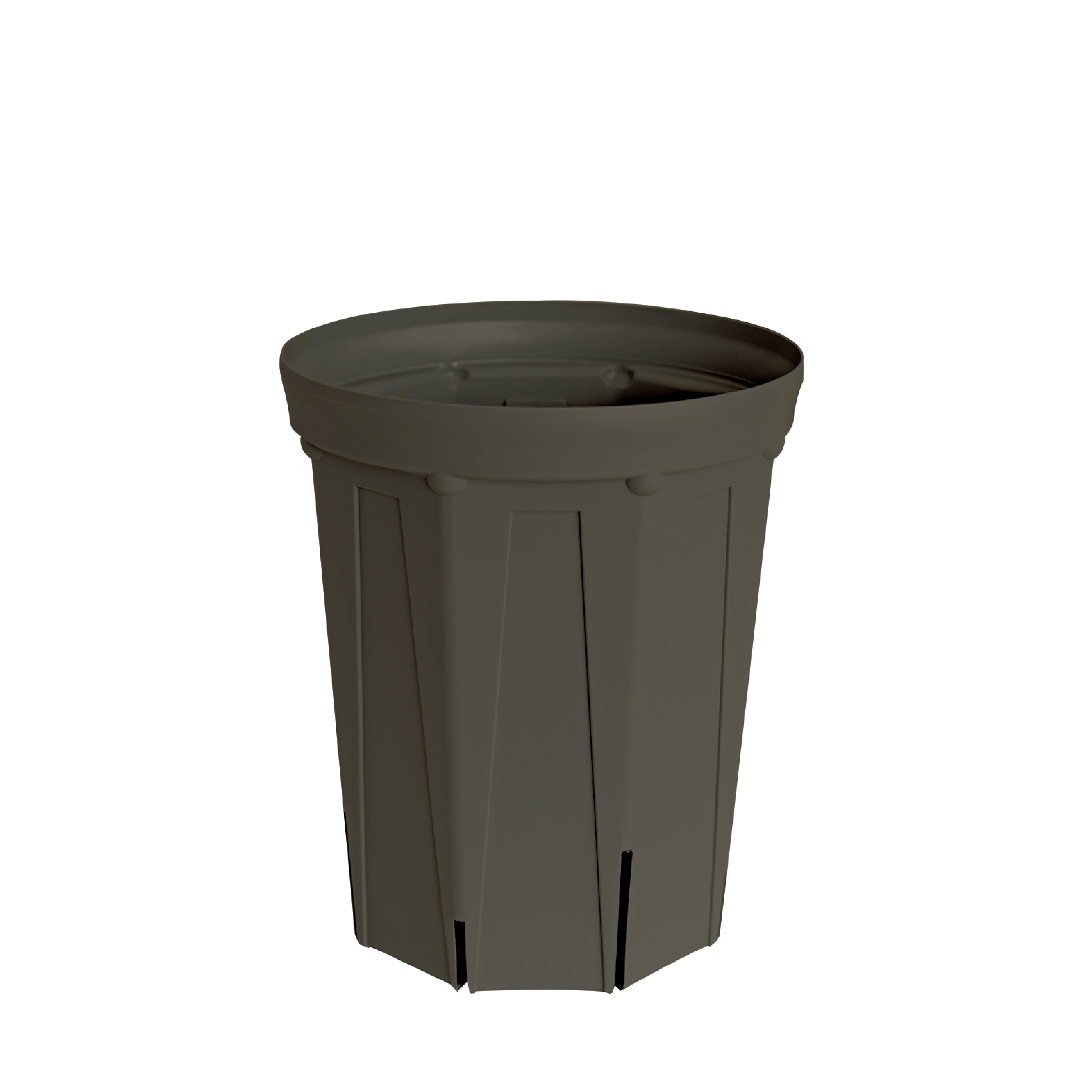 6号鉢(18cm) – KUROKO