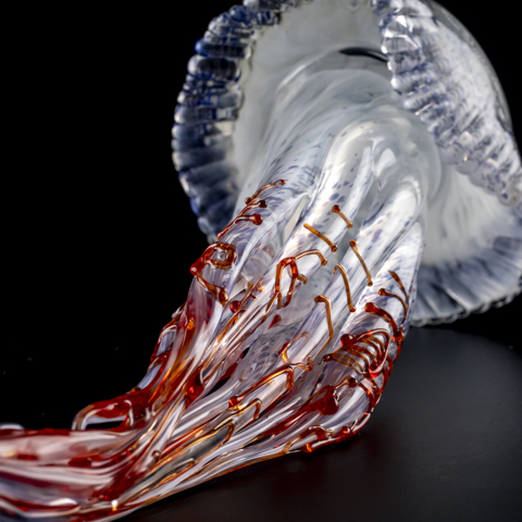 Pino Signoretto クラゲ | 全ての商品 | 黒壁公式オンラインショップ