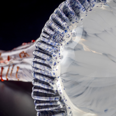 Pino Signoretto クラゲ | 全ての商品 | 黒壁公式オンラインショップ