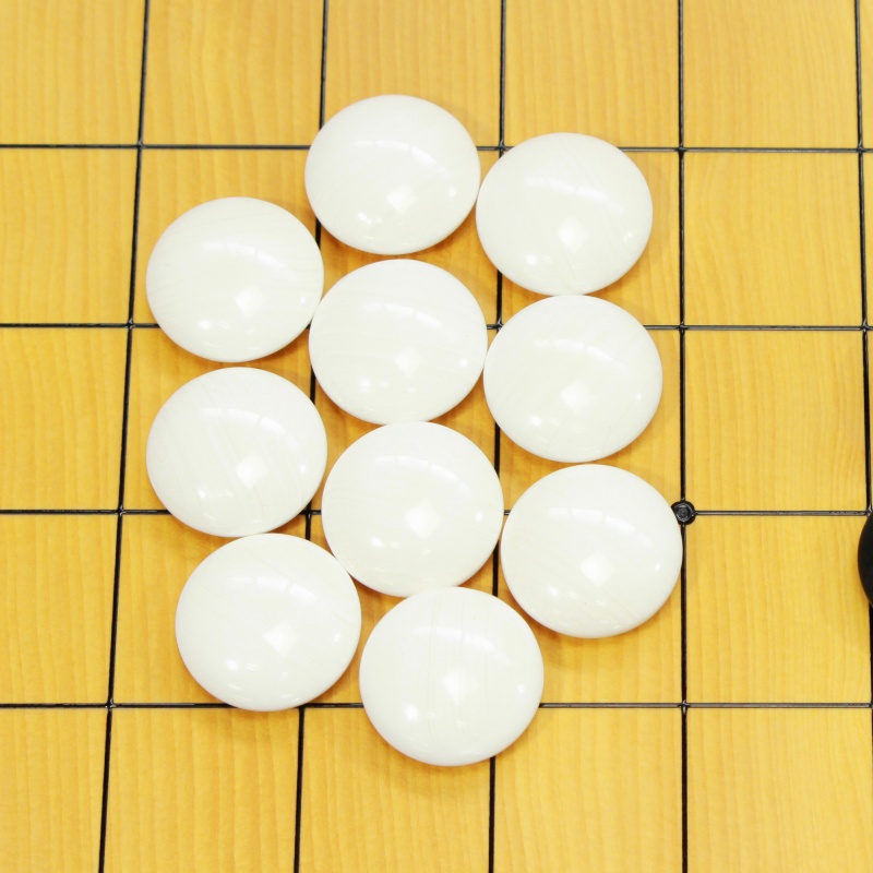 碁石 日向特産本蛤(スワブテ貝) 30号雪