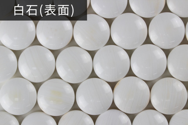 碁石 日向特産本蛤 32号花