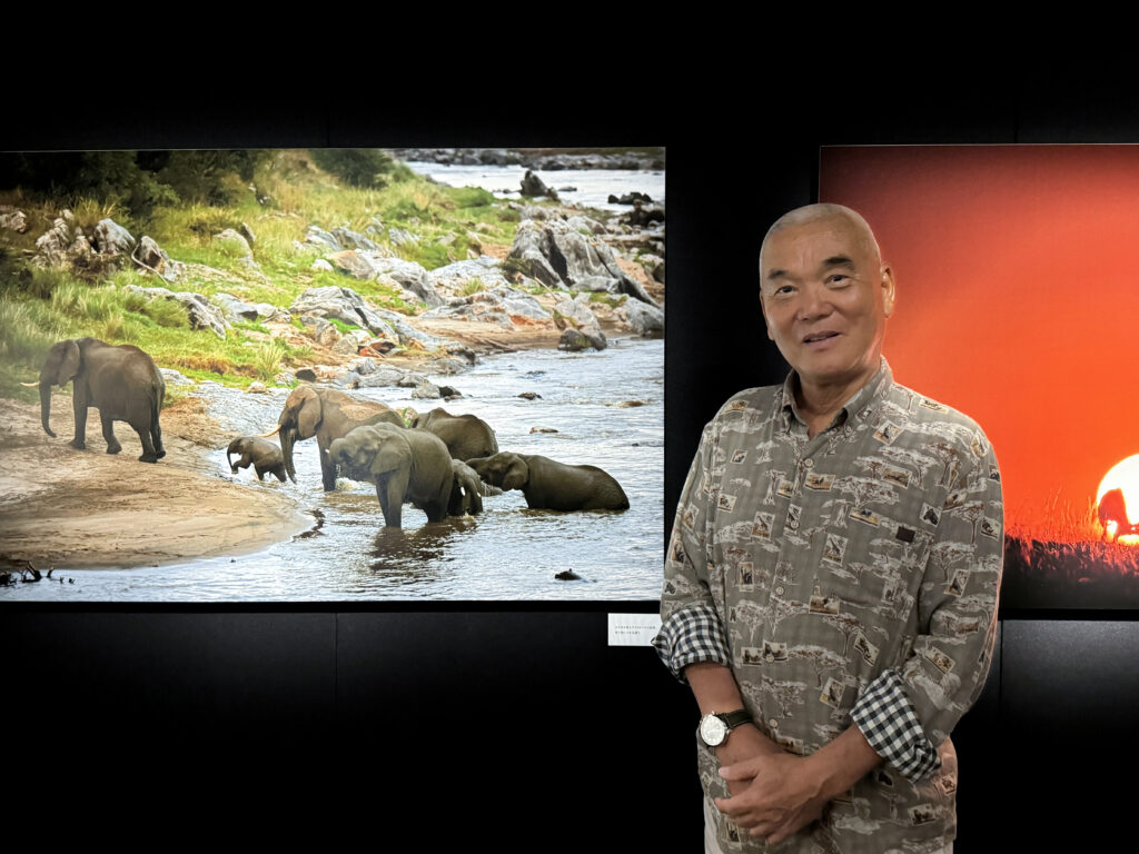 岩合 光昭 写真展 「Masai Mara」「What a Wonderful World -この