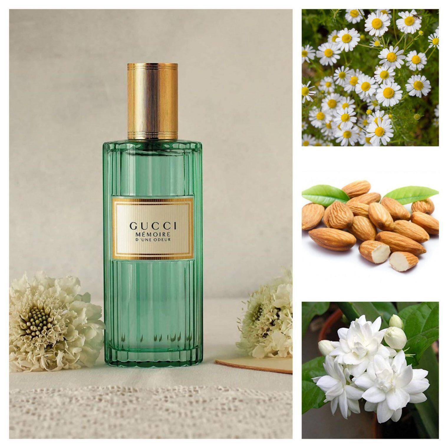 Gucci Mémoire d'une Odeur EDP 100ml » LAMOON