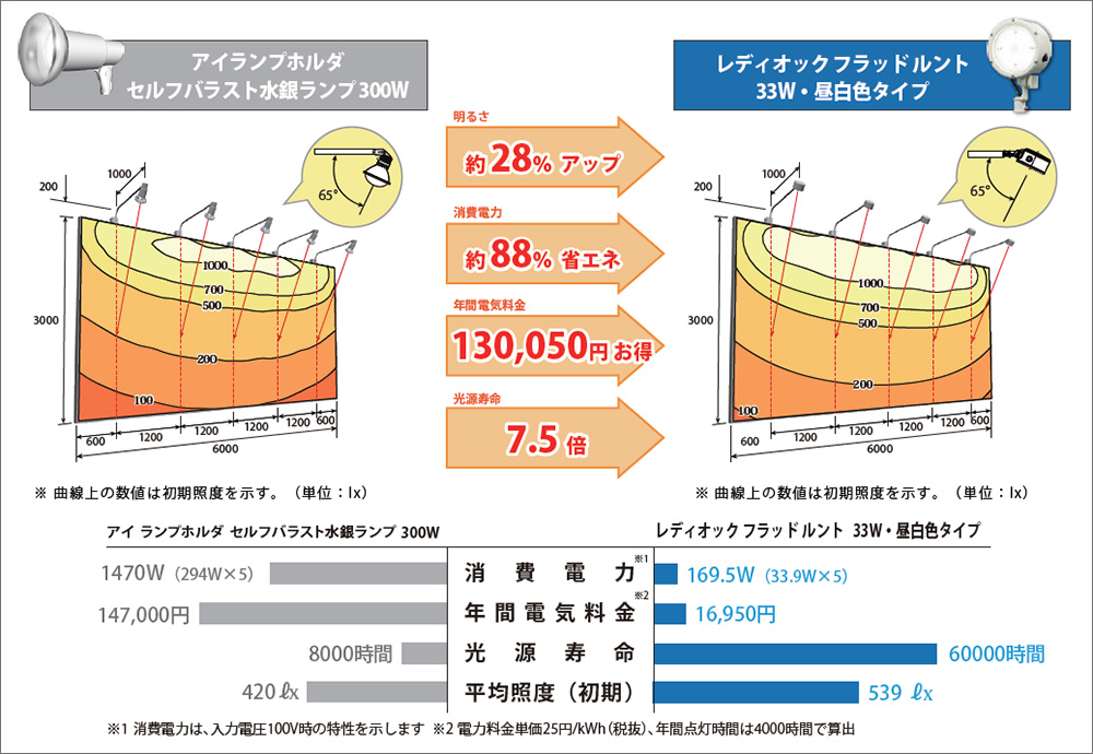 E30015W/NSAN9/W || LED小型投光器 岩崎電気(IWASAKI) 【レディオック