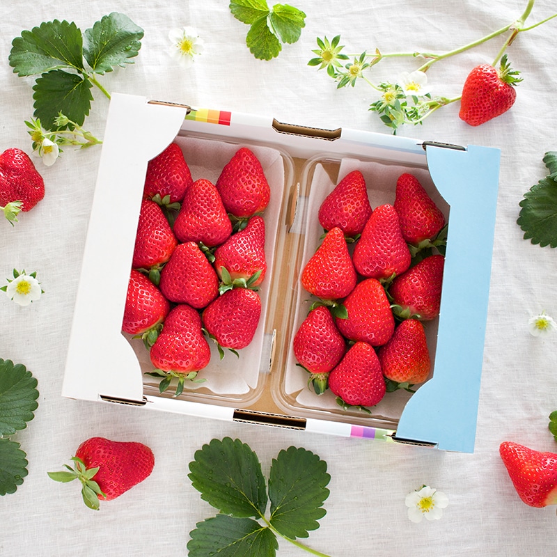 徳島勝占いちご2パック箱入り | Lacycle mall（ラシクルモール）
