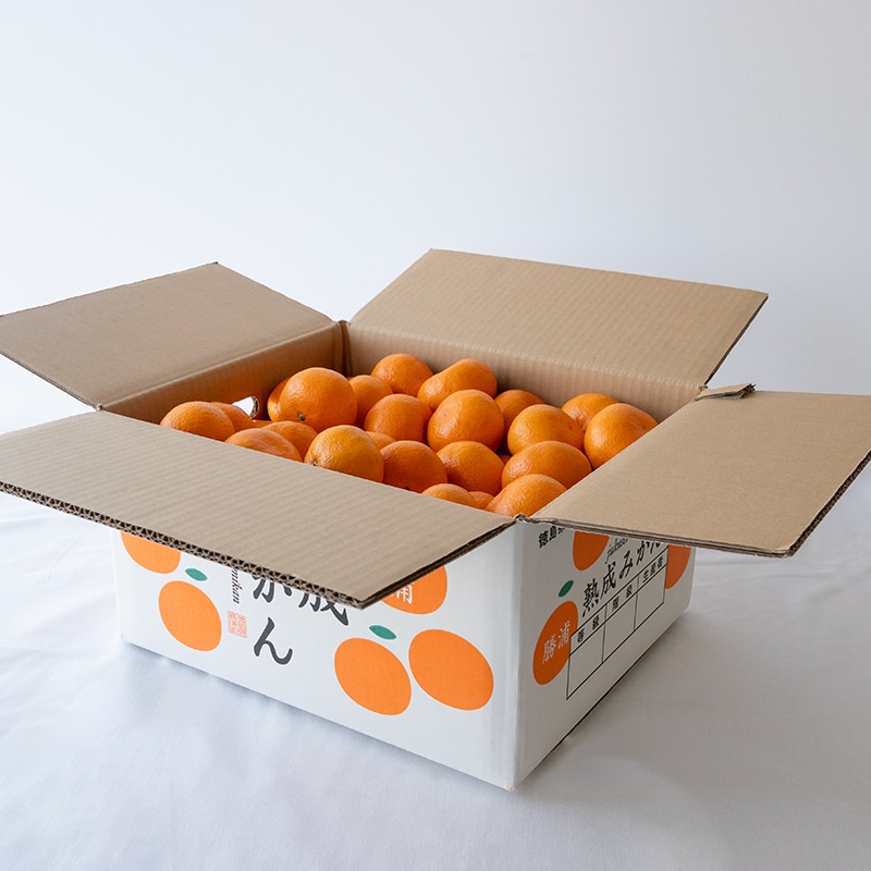 阿波かつうら熟成みかん10kg | Lacycle mall（ラシクルモール）