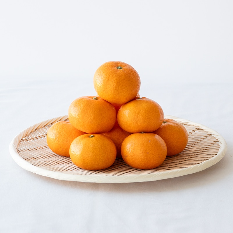 阿波かつうら熟成みかん10kg | Lacycle mall（ラシクルモール）