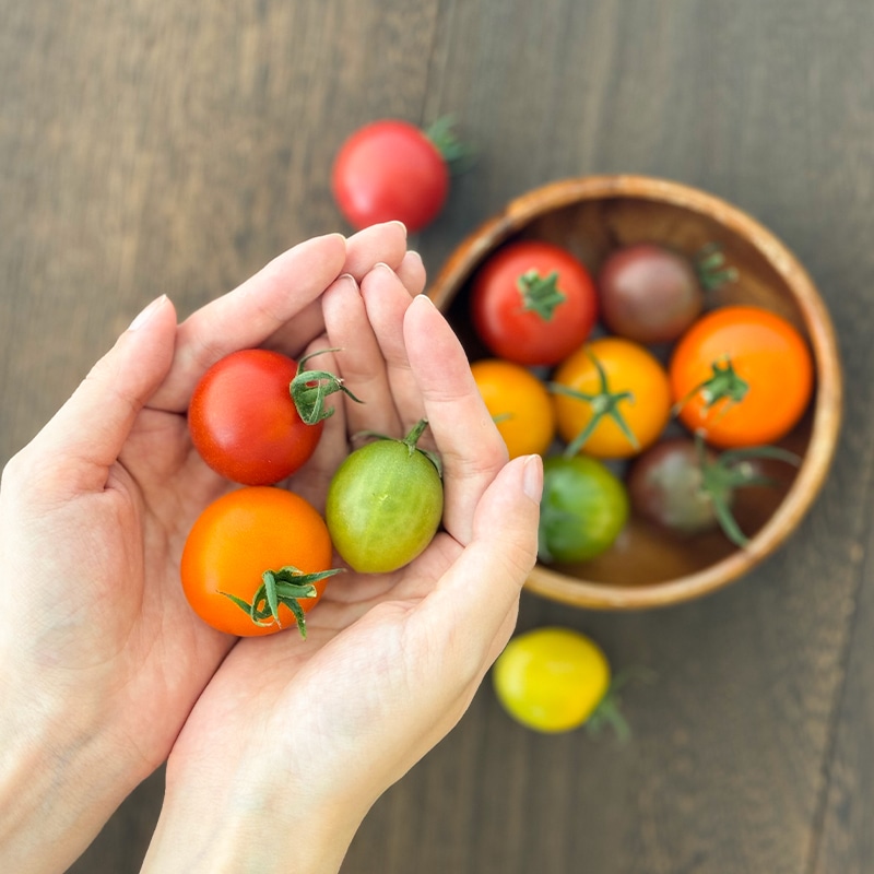 ジュエルミディフル（600g） | Lacycle mall（ラシクルモール）