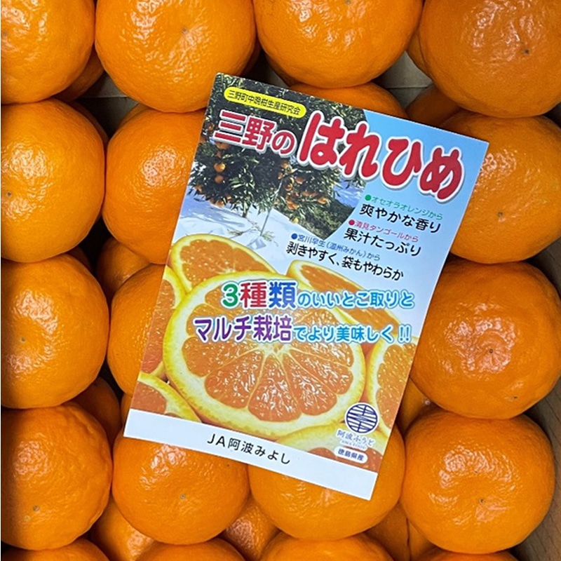 三野のはれひめみかん（5kg箱入） | Lacycle mall（ラシクルモール）