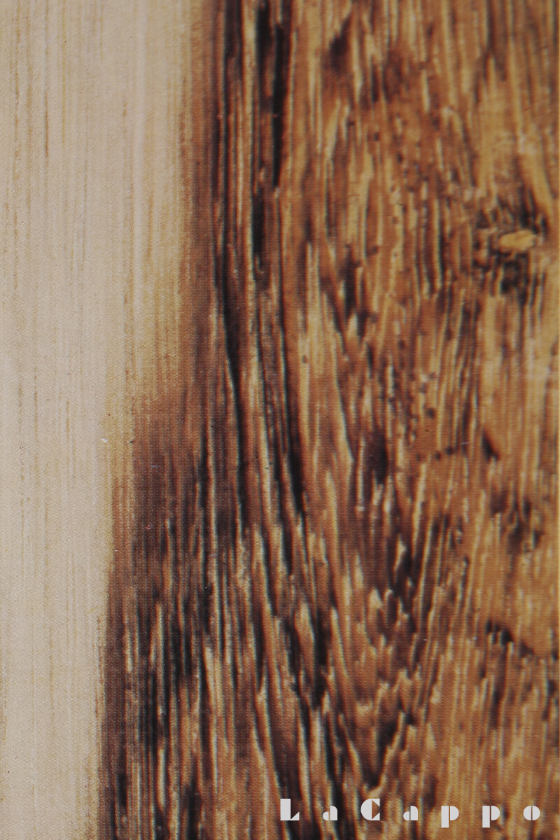 本鉄刀木（タガヤサン）について – ステッキ専門店【ラカッポ】