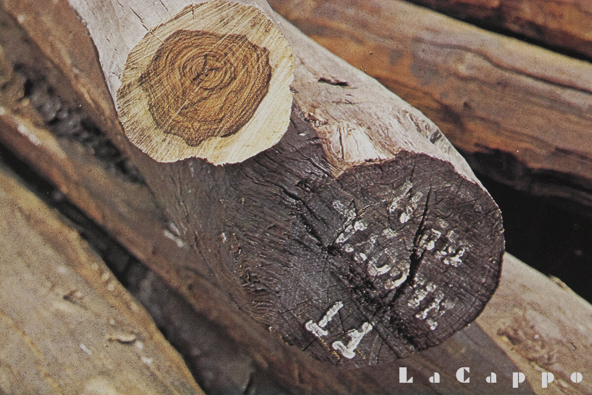 本鉄刀木（タガヤサン）について – ステッキ専門店【ラカッポ】