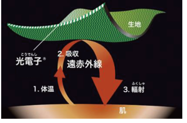 BiBi Grant Ladies | グラント・イーワンズ LALA GRANT ｜lala makes happy