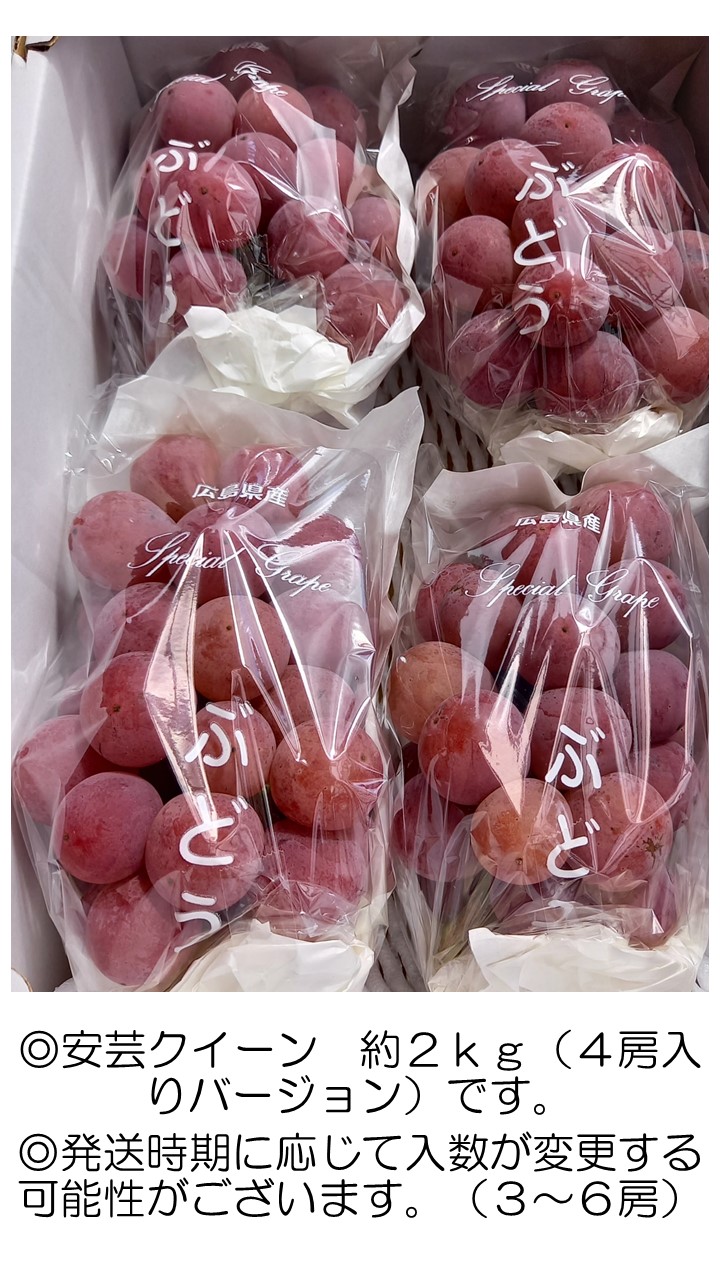 ぶどう商品一覧 - Lapierre Vineyard（ラピアビンヤード）Lapierre