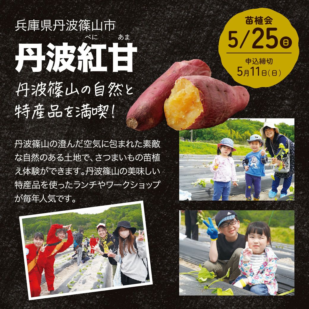 おいも株オーナー制度苗植会・収穫祭 | 【公式通販】らぽっぽファーム