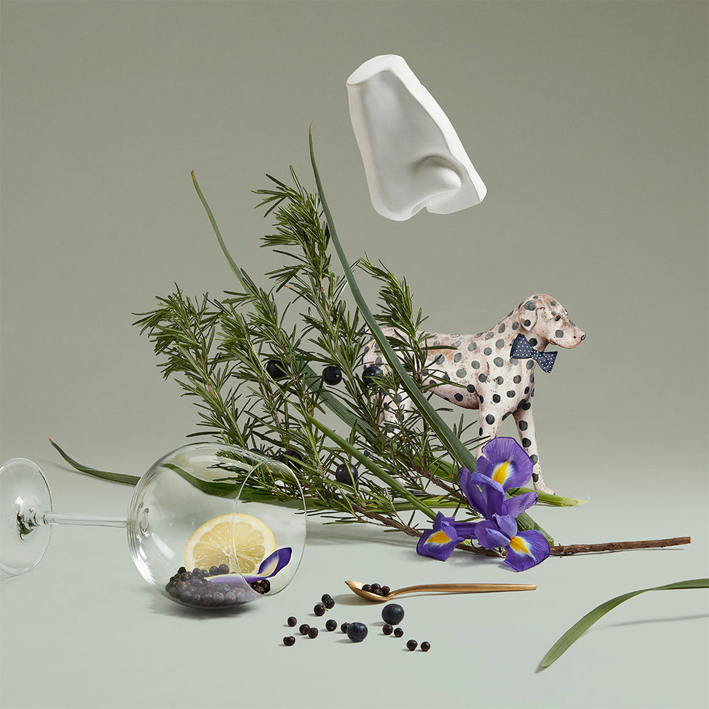 公式】ジュニパー スリング オードトワレ｜ペンハリガン（PENHALIGON'S