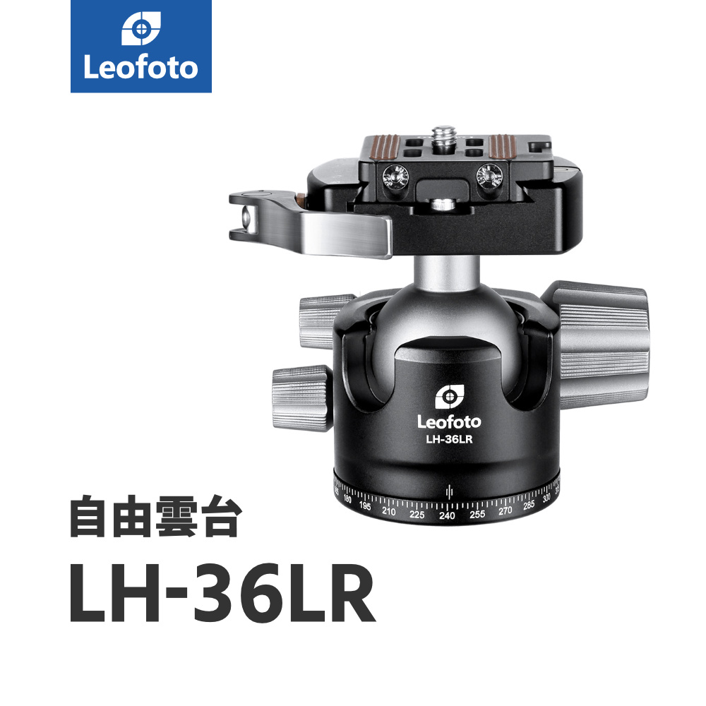 LH-36LR.jpg