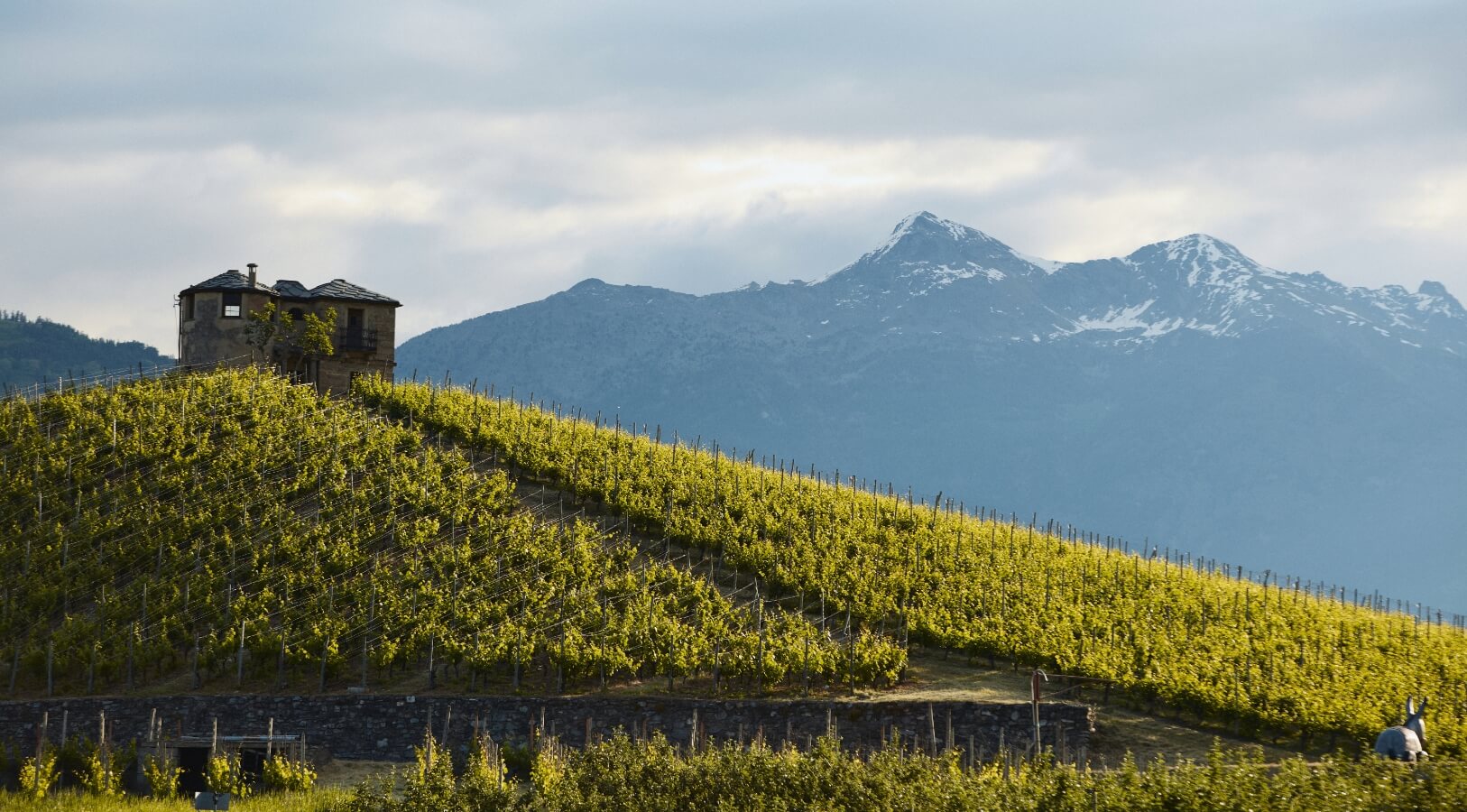 レ・クレートのテロワール｜アオスタ渓谷の山岳ワイン